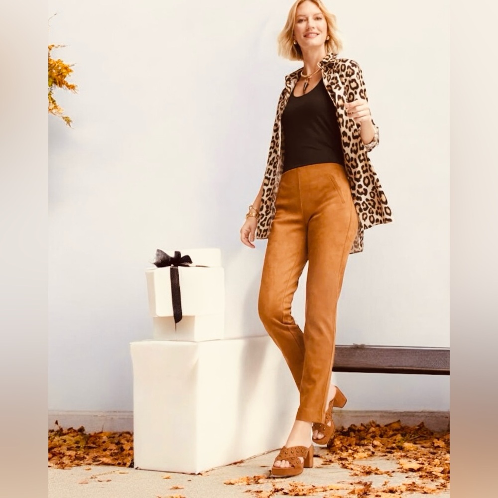 Max Studio Vicuna Faux Suede Skinny Pants Brown Pull-On Stretch Fall Staple🍂🎃🍁